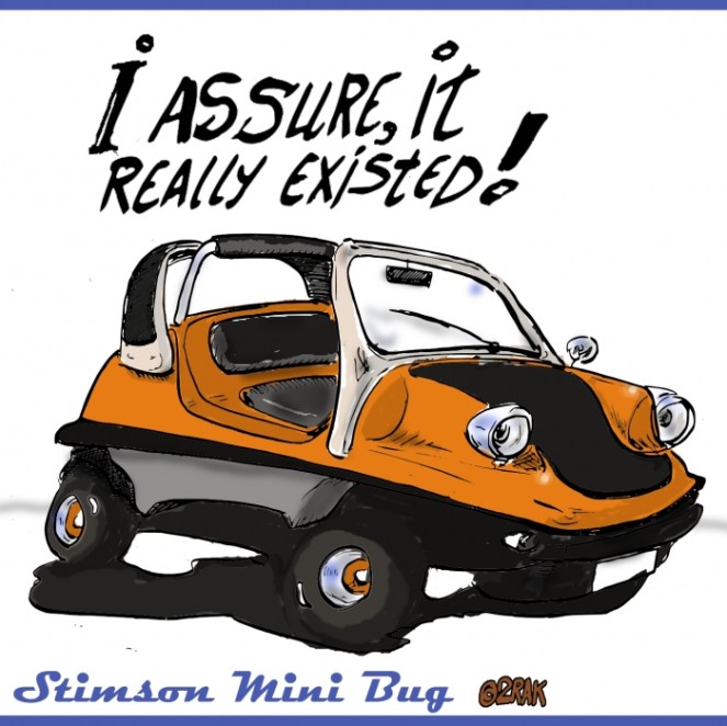 stimson mini bug.jpg